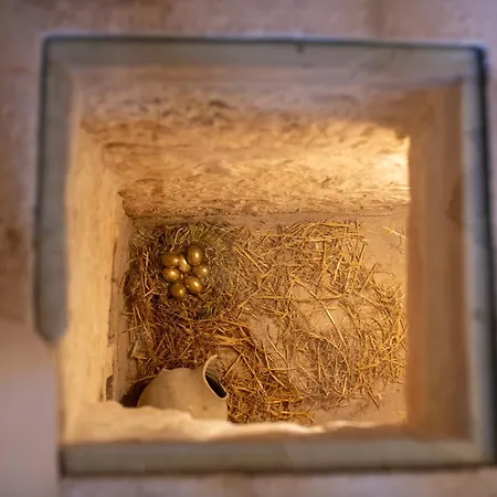 Crio - Experiences At * Cisternino