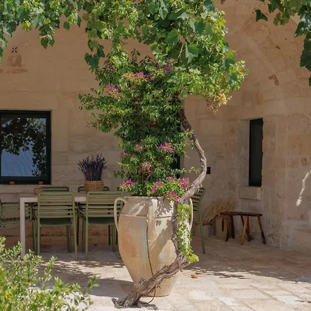 Crio - Experiences At *