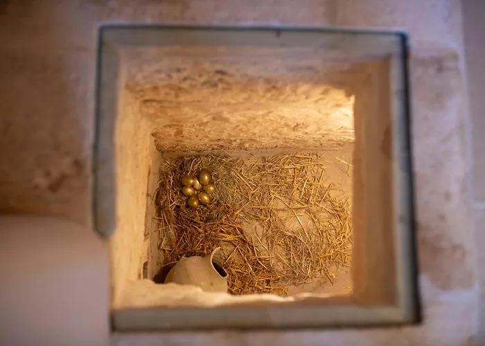 Crio - Experiences At * Cisternino