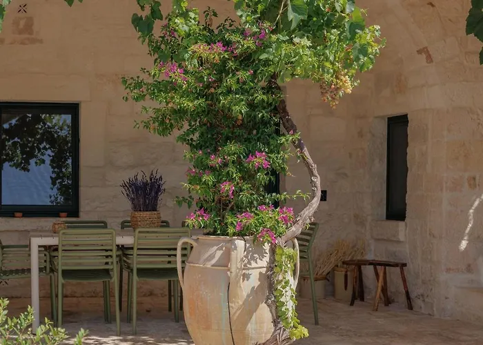 Crio - Experiences At *